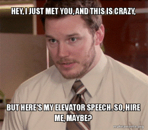 Hey, I just met you, and this is crazy, but here's my elevator speech. So, hire me, maybe? Meme image.