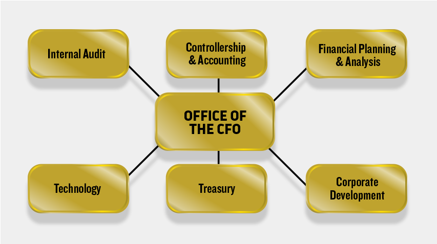 An image showing connections between Office of the CFO, Internal Audit, Controllership and Accounting, Financial Planning and Analysis, Technology, Treasury, and Corporate Development.