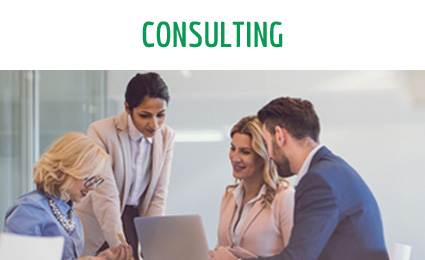 Consulting